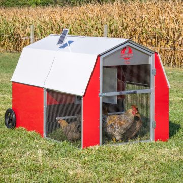 4 x 6 Redline Coop [Front, Chickens]